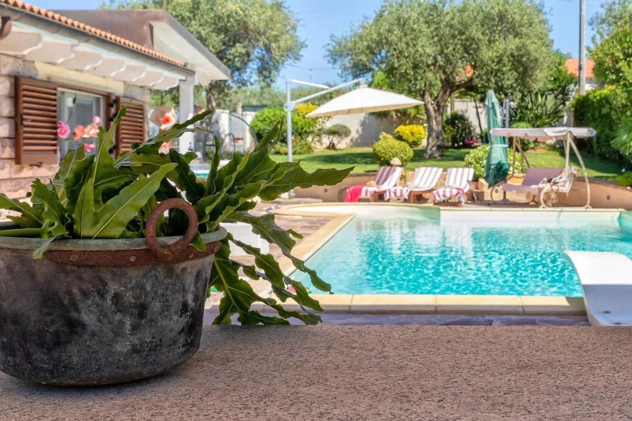 Villa Sunflower Alghero